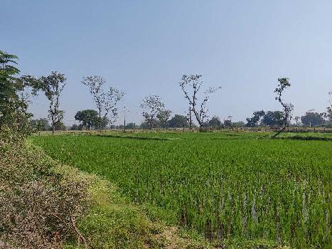 Property for sale in Domakonda, Nizamabad