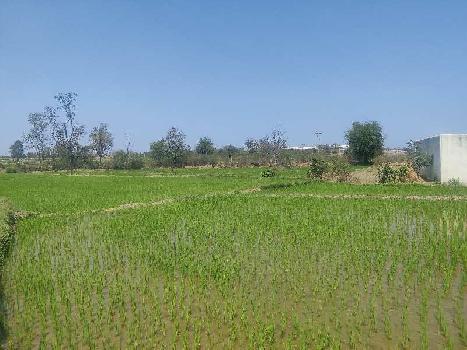 3 Acre Agricultural/Farm Land for Sale in Domakonda, Nizamabad