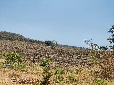 Property for sale in Tadwai, Nizamabad