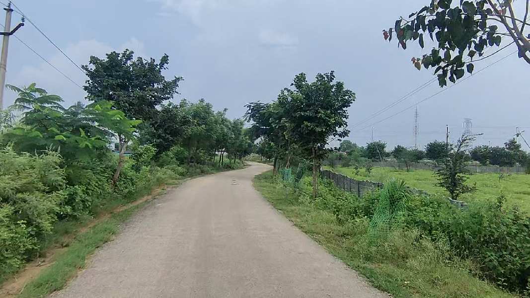 1.45 Acre Agricultural/Farm Land for Sale in Bhiknoor, Nizamabad