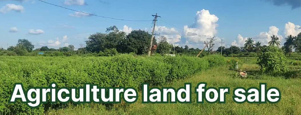 6 Acre Agricultural/Farm Land for Sale in Gandhari, Nizamabad