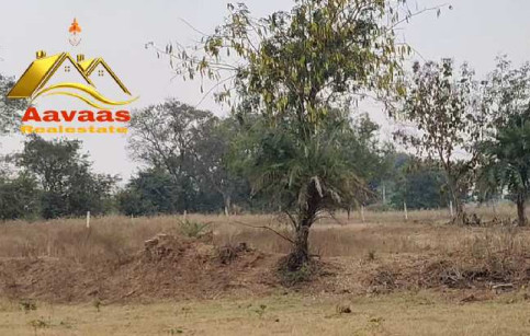 Agriculture land for sale, Low price