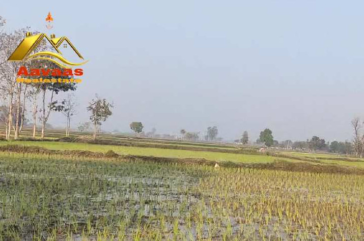 7.10 Acre Agricultural/Farm Land for Sale in Bhiknoor, Nizamabad