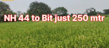 8 Acre Agricultural/Farm Land for Sale in Bhiknoor, Nizamabad