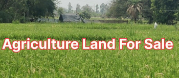 Property for sale in Bhiknoor, Nizamabad