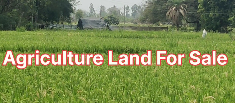 8 Acre Agricultural/Farm Land for Sale in Bhiknoor, Nizamabad