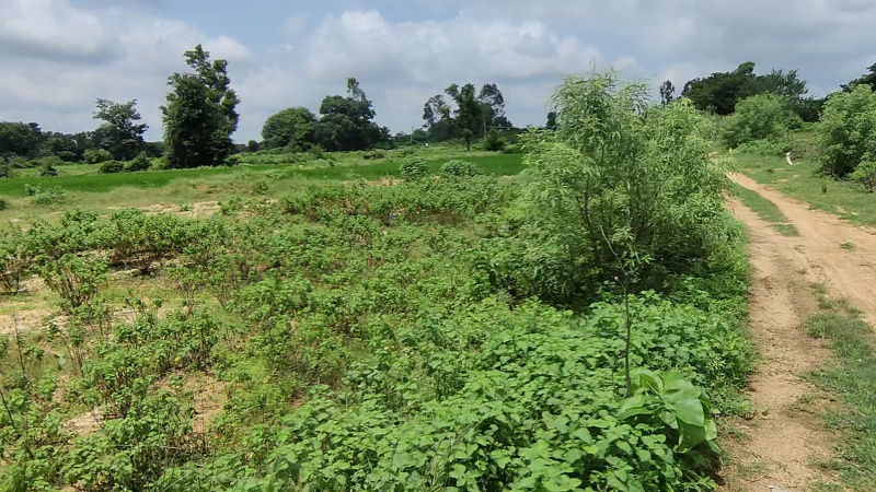 94 Guntha Agricultural/Farm Land for Sale in Kamareddy