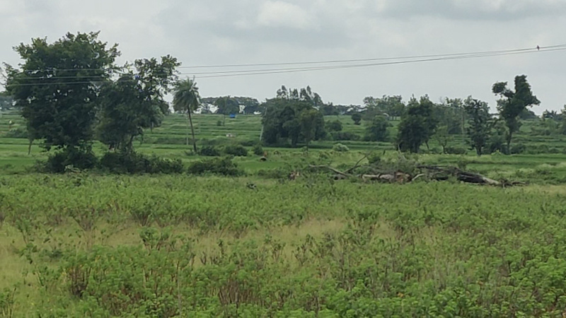94 Guntha Agricultural/Farm Land for Sale in Kamareddy