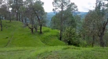 Residential Plot for Sale in Ranikhet, Almora (12000 Sq. Yards)