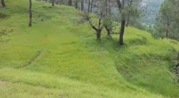 Property for sale in Ranikhet, Almora
