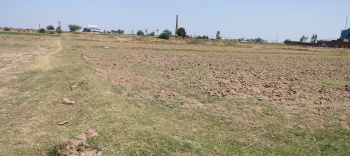 6 Acre Agricultural/Farm Land for Sale in Kharar Landran Road, Mohali