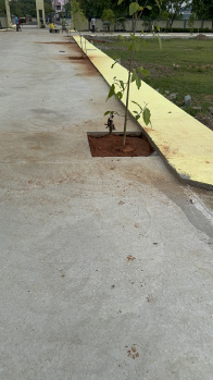 Residential Plot for Sale in Manikandam, Tiruchirappalli (1200 Sq.ft.)