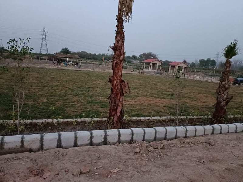 Farm Land at Noida 161 at very reasonable price
