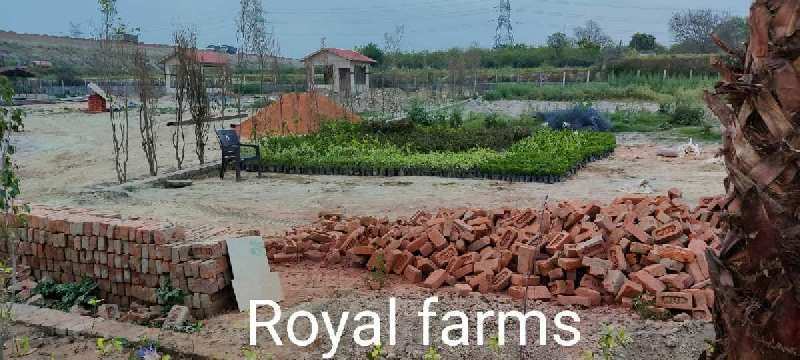 Royal Farms at Sector 161 Noida