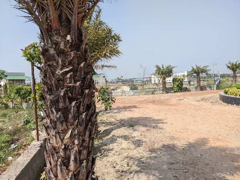 1008 Sq. Yards Agricultural/Farm Land for Sale in Sector 128, Noida