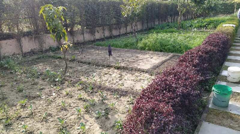 1008 Sq. Yards Agricultural/Farm Land for Sale in Sector 127, Noida