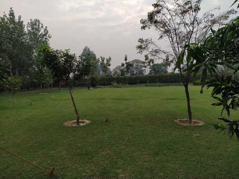 Farm land at Country farms sector 150 Noida