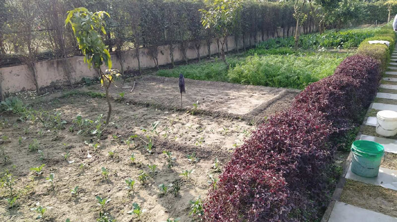 Farm land with electricity connection near sector 150 Noida