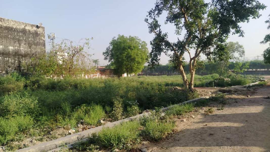 Farm land at sector 22d with electricity connection