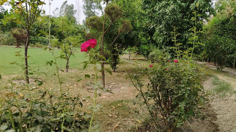 4032 Sq. Yards Agricultural/Farm Land for Sale in Sector 150, Noida