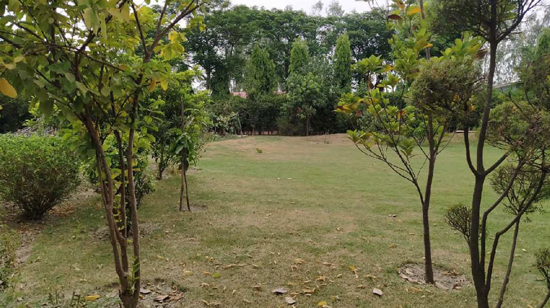 Farm land at sector 150 Noida