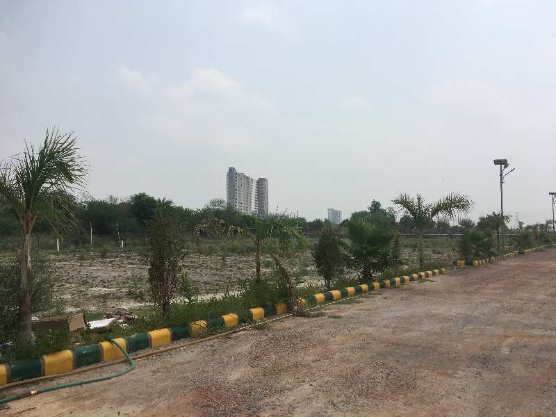 Farm land for sale in sector 150