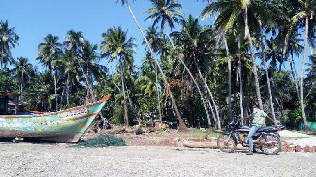 Malvan Beach Touch 7.5 Gunthe Plot for Sale @ ₹. 12 Lakhs / Guntha, Village Rajkot, Tal. Malvan, Dist. Sindhdurg., Maharashtra