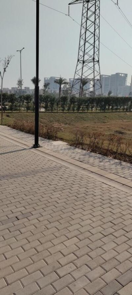 250 Sq. Yards Residential Plot for Sale in Sector 85, Faridabad