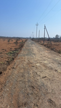 Property for sale in Velahari, Nagpur