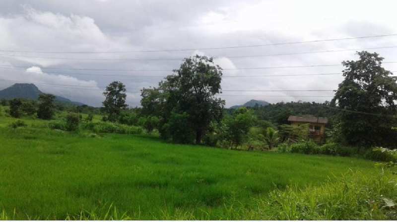 10 Acre Agricultural/Farm Land For Sale In Wada, Palghar