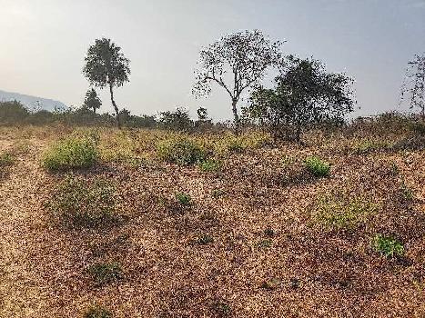 2.5 Ares Agricultural/Farm Land for Sale in Wada, Palghar