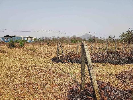 77 Guntha Agricultural/Farm Land for Sale in Wada, Palghar