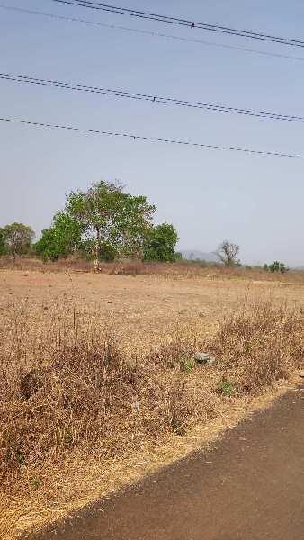 60 Guntha Agricultural/Farm Land for Sale in Wada, Palghar