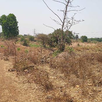 6 Acre Agricultural/Farm Land for Sale in Wada, Palghar