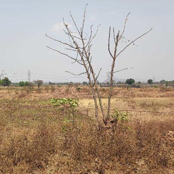 Property for sale in Wada, Palghar