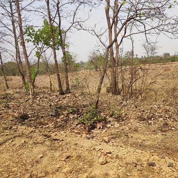2.5 Acre Agricultural/Farm Land for Sale in Wada, Palghar