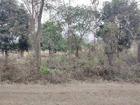 72 Guntha Agricultural/Farm Land for Sale in Wada, Palghar