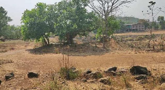 5 Guntha Agricultural/Farm Land for Sale in Wada, Palghar