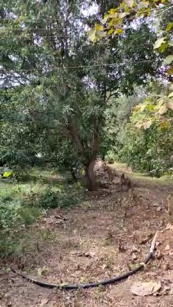 Property for sale in Wada, Palghar