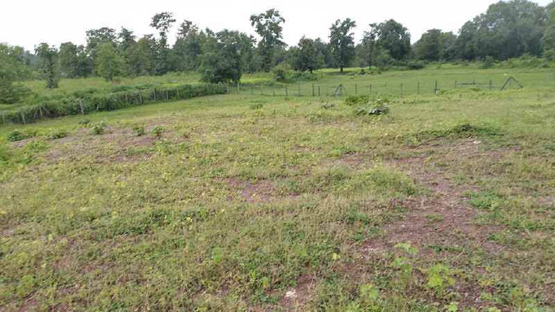 60 Guntha Agricultural/Farm Land For Sale In Wada, Thane