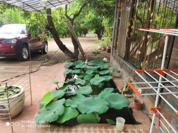 Property for sale in Wada, Palghar