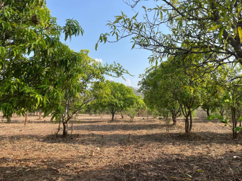 Residential Plot for Sale in Wada, Palghar (52 Ares)