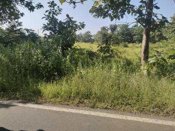 Residential Plot for Sale in Wada, Palghar (1 Acre)