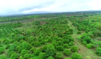 Property for sale in Dahanu, Palghar