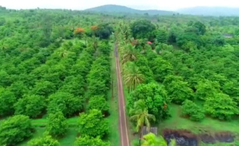 Property for sale in Dahanu, Palghar