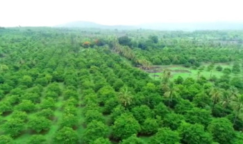 Property for sale in Dahanu, Palghar