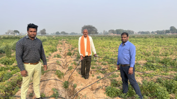 Property for sale in Sanket, Mathura