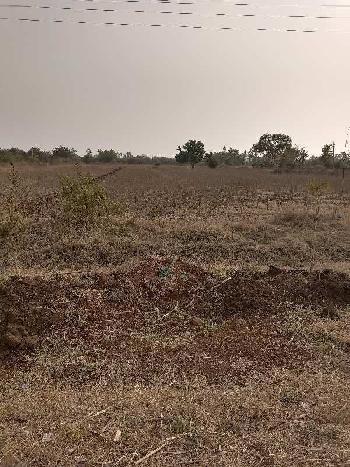 5 Acre Agricultural/Farm Land for Sale in Bidar