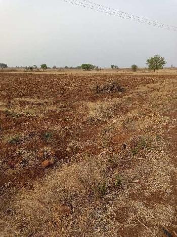 45 Acre Agricultural/Farm Land For Sale In Humnabad, Bidar
