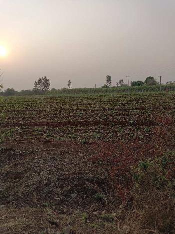 9 Acre Agricultural/Farm Land For Sale In Humnabad, Bidar